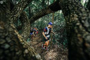 BIB: 
                            <button type="button" onclick="openModal(25392181)" class="btn btn-primary btn-sm float-right btn-popup" data-toggle="modal" data-target=".modal-high-quality">
                        <i class="fas fa-shopping-cart"></i> Add to Cart
                    </button>
                                            <button type="button" onclick="isThisMe(25392181, true)" class="btn btn-success btn-sm float-right btn-popup btn-isme hidden" data-toggle="tooltip" data-placement="bottom" title="นี่คือรูปของคุณใช่ไหม คลิกที่นี่เพื่อเอาเข้าอัลบั้ม">
                        <i class="fas fa-plus"></i> Add to album
                    </button>
                    <button type="button" onclick="isThisMe(25392181, false)" class="btn btn-warning btn-sm float-right btn-popup btn-isnotme hidden">
                        <i class="fas fa-ban"></i> Remove from album
                    </button>